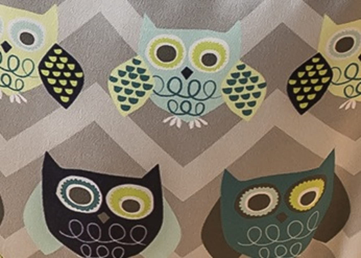 Evenflo Exersaucer Johnny Jumper Featuring Easy-to-Use Clamp Attachment for Quick and Tool-Free Set Up and Adjustable Straps to Customize the Height for Your Child, Owl