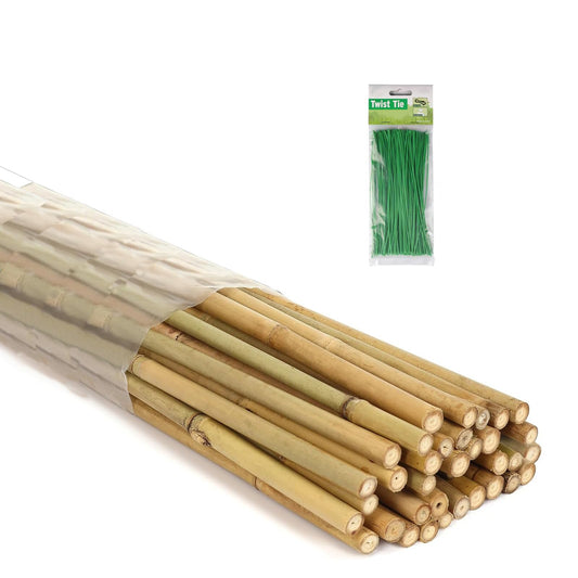 6 Ft Bamboo Stakes with 100 Twist Ties Natural Bamboo Garden Stakes for Tomatoes Cucumber Grapes Pole Beans Trees Potted Dahlia Flowers and Climbing Plants - Pack of 20 Bamboo Sticks