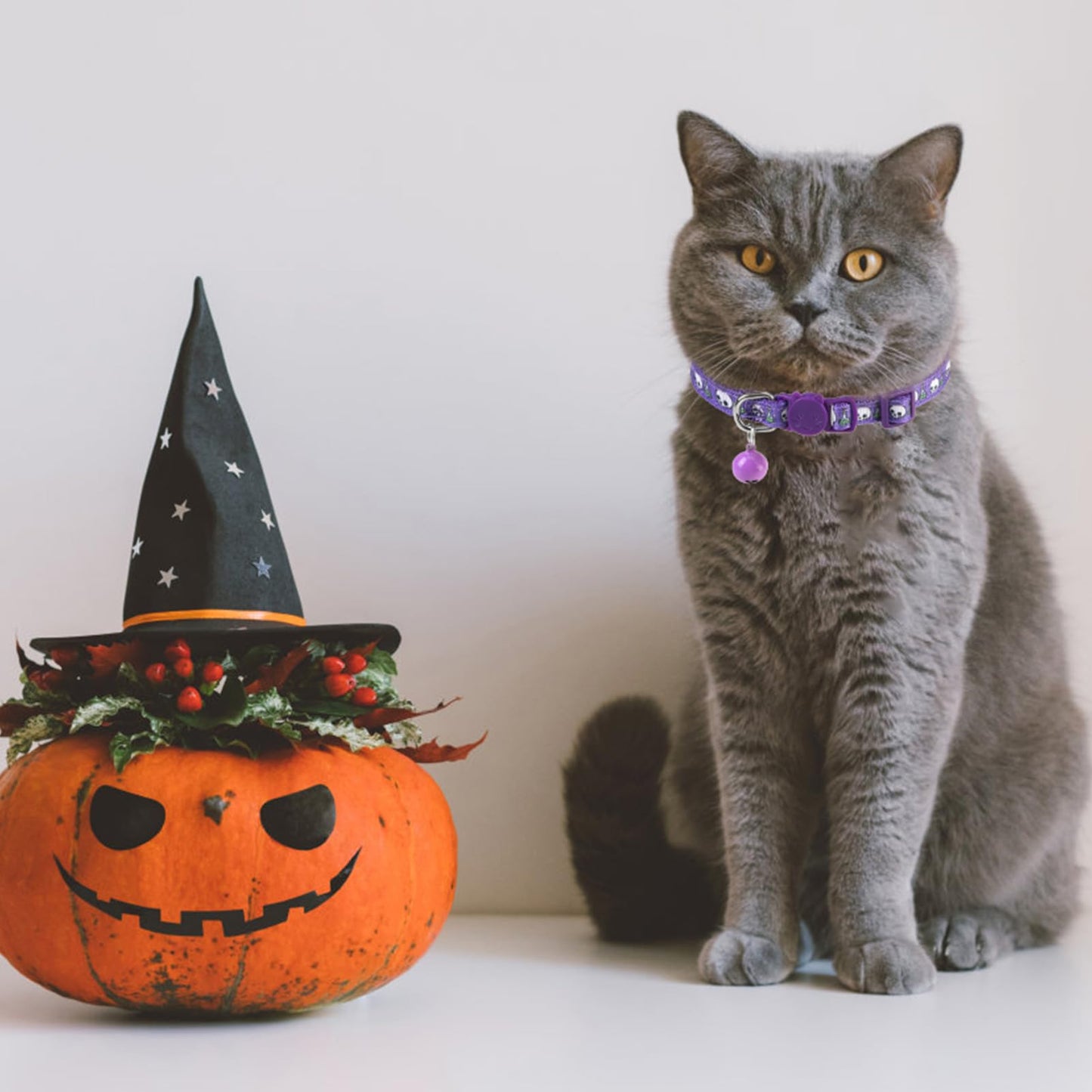 PUPTECK Thanksgiving Cat Collar with Bell 6 Packs Breakaway for Fall Halloween - Autumn Soft Adjustable Kitten Kitty Collars for Small Pet Puppy Bunny Christmas with Safety Release Buckle
