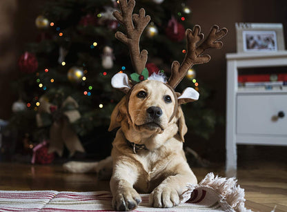 BWOGUE Dog Christmas Elk Reindeer Antlers Headbands Set Pet Christmas Costume Accessories Headwear for Medium Large Dogs