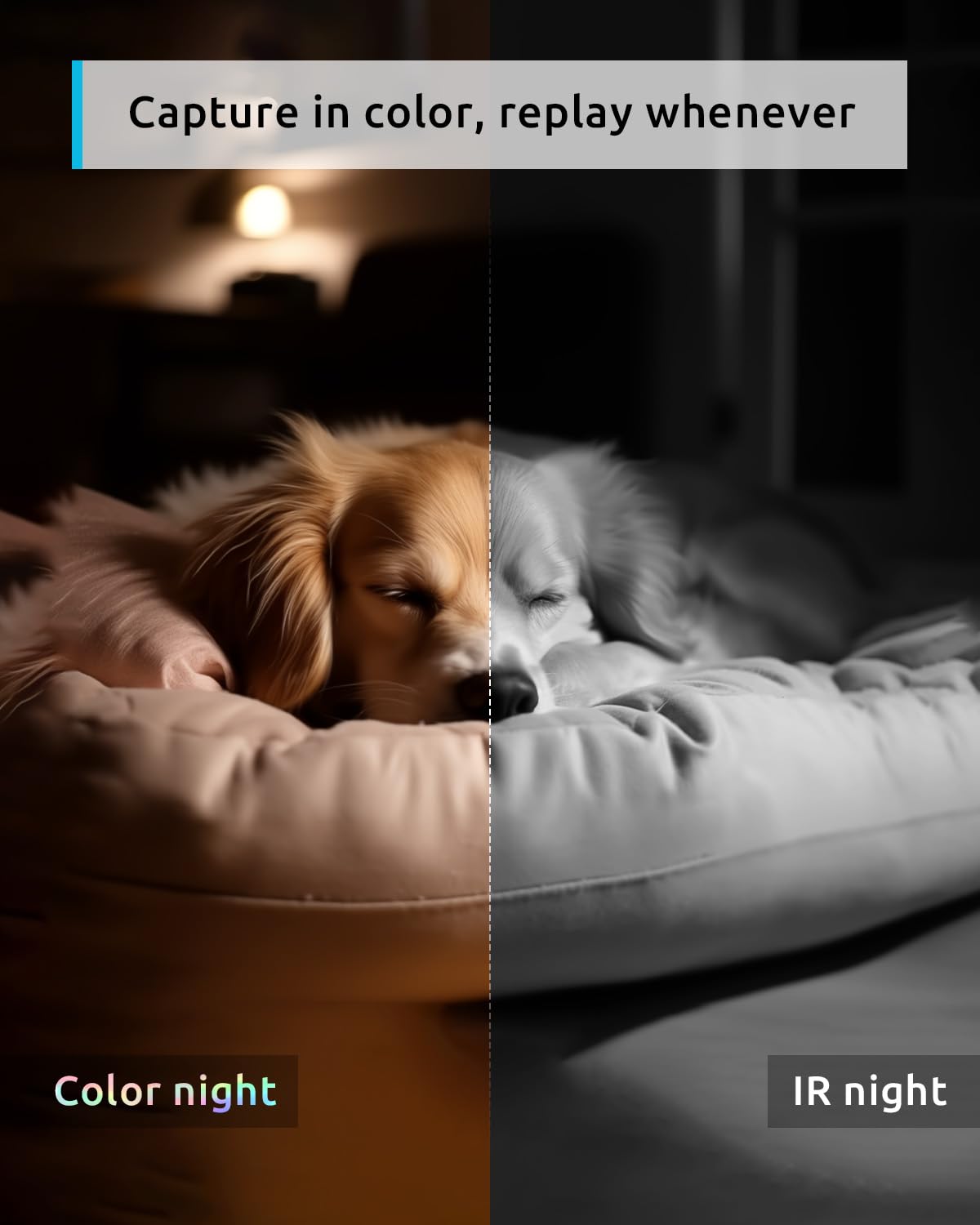 blurams Pet Camera 2K, 360° Dog Camera with Phone App, PTZ Indoor Cameras for Home Security Indoor, 2-Way Audio, Motion Tracking, Color/IR Night Vision, Siren, Cloud&SD(2.4GHz Only)