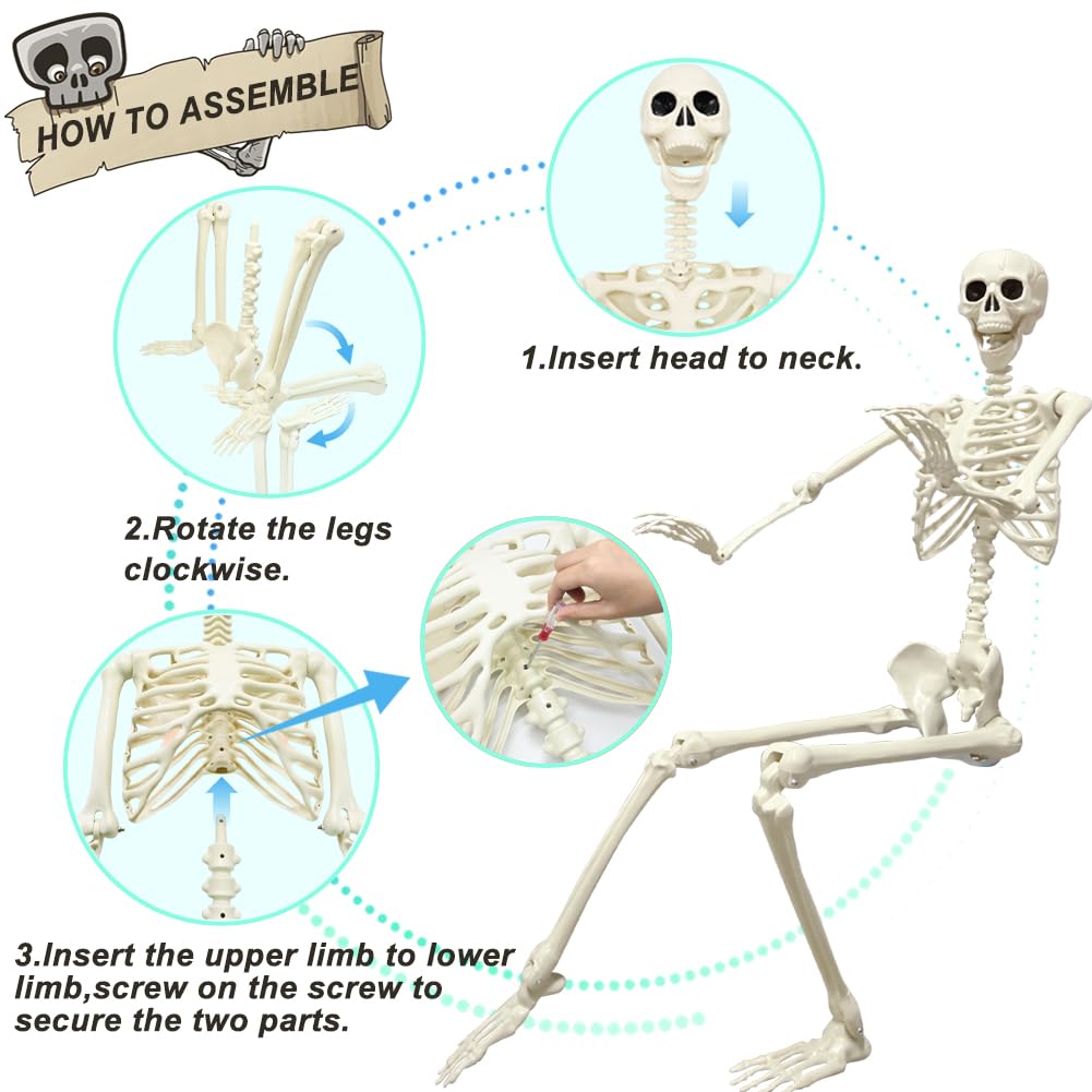 UMEELR 5.4FT Halloween Skeletons, Full Size Skeleton with Skeleton Dog, Plastic Life Size Human Skeletons for Halloween Graveyard Haunted House Party Decoration