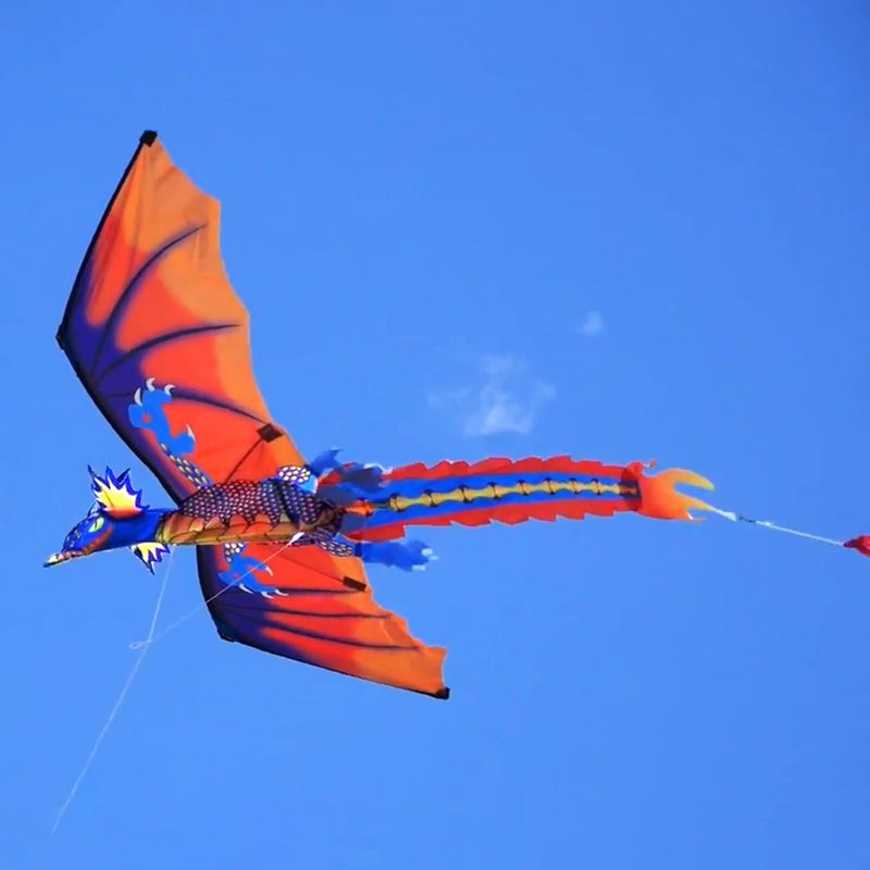 HENGDA KITE-Upgrade Classical Dragon Kite Stereoscopic Dragon Kites for Kids & Adults Easy to Fly for Beginner Easter 63inch Single Line with Tail