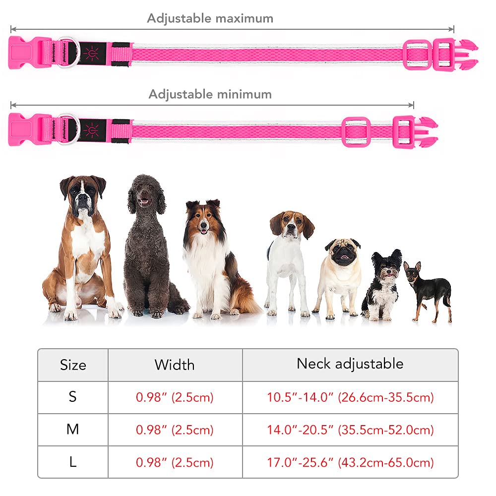 YFbrite Light up Dog Collar, Rechargeable LED Dog Collar, Flashing Dog Collar, Adjustable Reflective Dog Collar Safety Glowing at night (Pink, Medium)