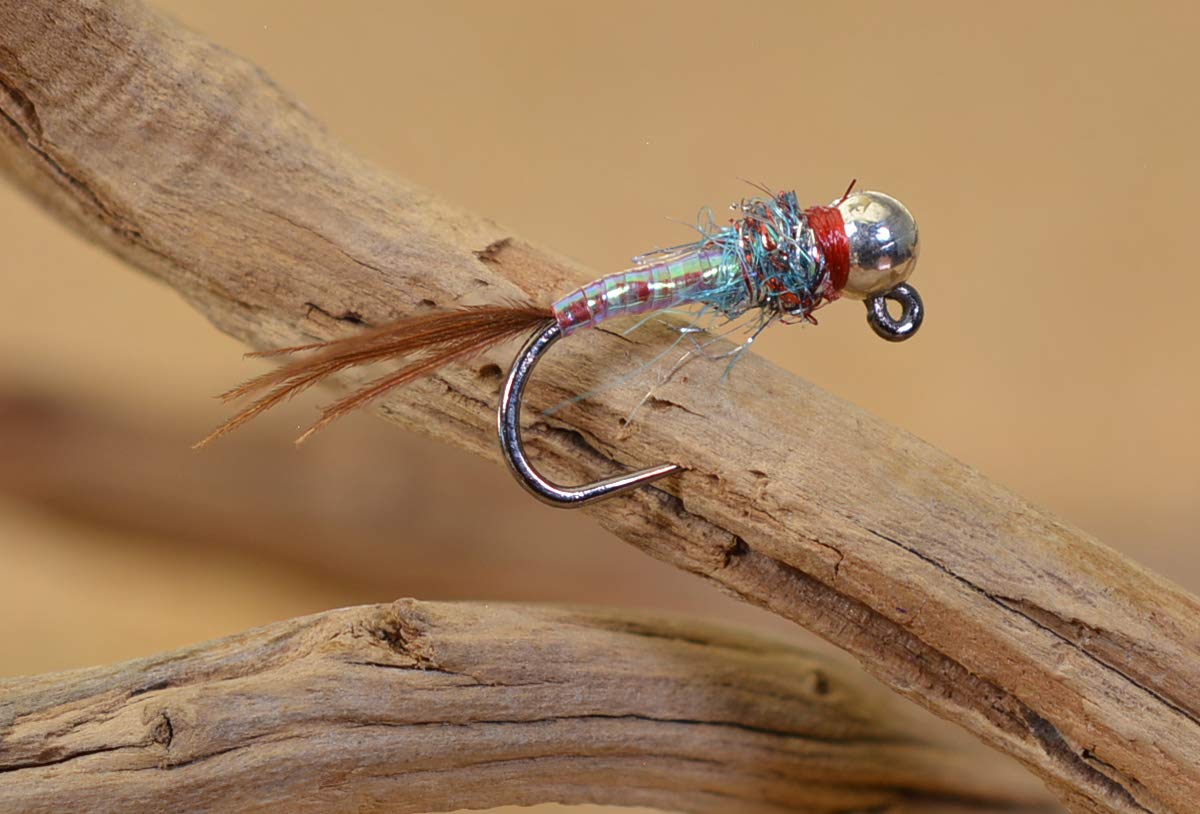 Region Fishing Tungsten Bead Rainbow Warrior Jig Fly - Euro Nymph - Hanak Hooks - 6ct Pack (Assortment)