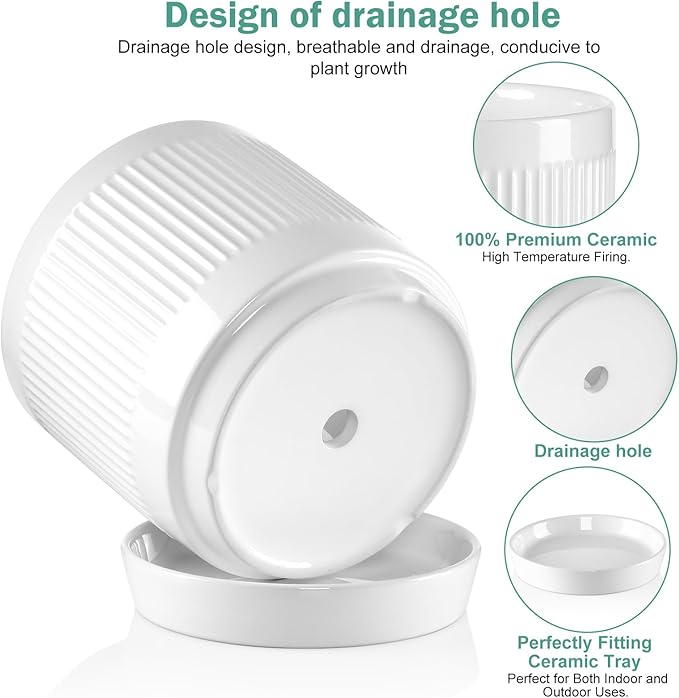 Vanavazon Ceramic Planter Pots for Indoor Plants with Drainage Hole and Saucer,6 Inch Cylinder Plant Pots,Glazed Finish Interior and Exterior,Set of 2 (White)