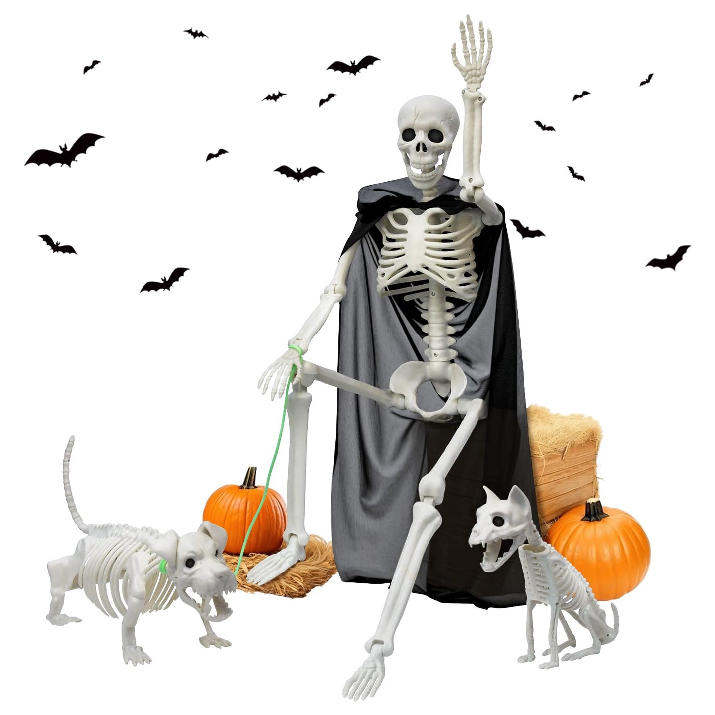 Askill 36" Skeleton Halloween Decorations, 3FT Posable Skeleton with Dog & Cat Skeleton - 5 in 1 Creepy Plastic Movable Joint Skeleton for Halloween Party Yard Decor (36inch)