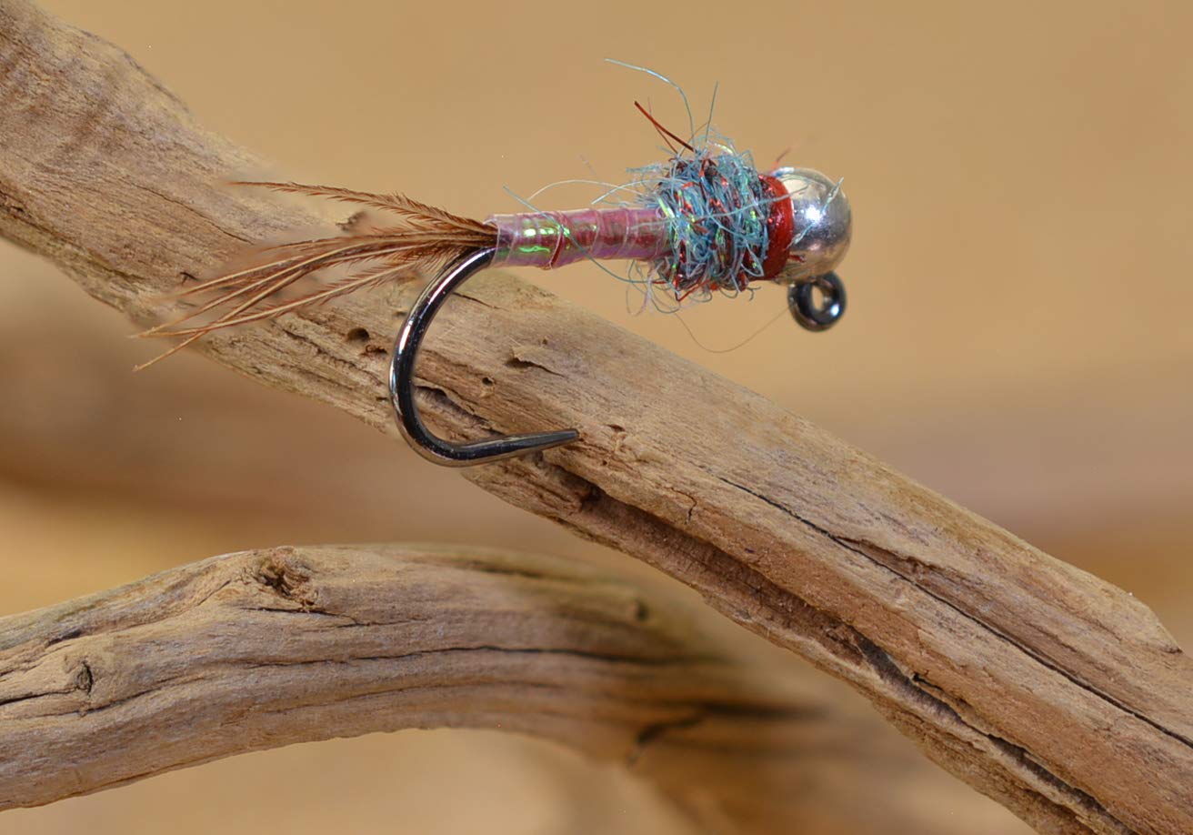 Region Fishing Tungsten Bead Rainbow Warrior Jig Fly - Euro Nymph - Hanak Hooks - 6ct Pack (Assortment)