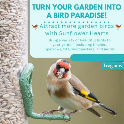 Leagrams Premium Sunflower Hearts 20kg