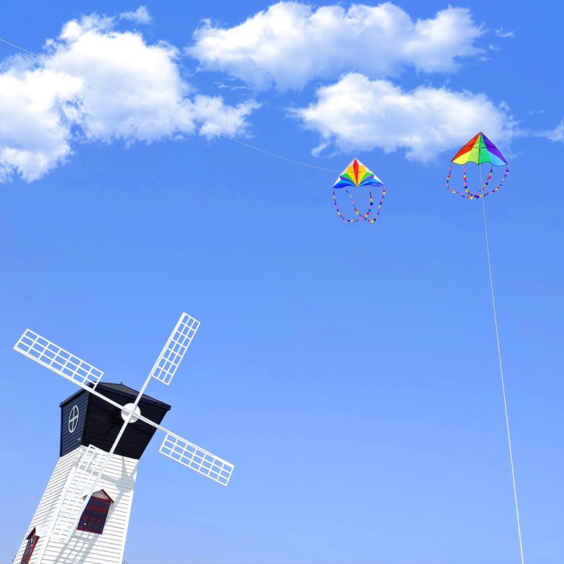 Flying Hoofer Large Rainbow Delta Kites for Kids & Adults,Single Line Beach Kite for Kids Ages 4-8 & 8-12,Easy Fly Kite for Toddlers and Beginners(2 Pack).