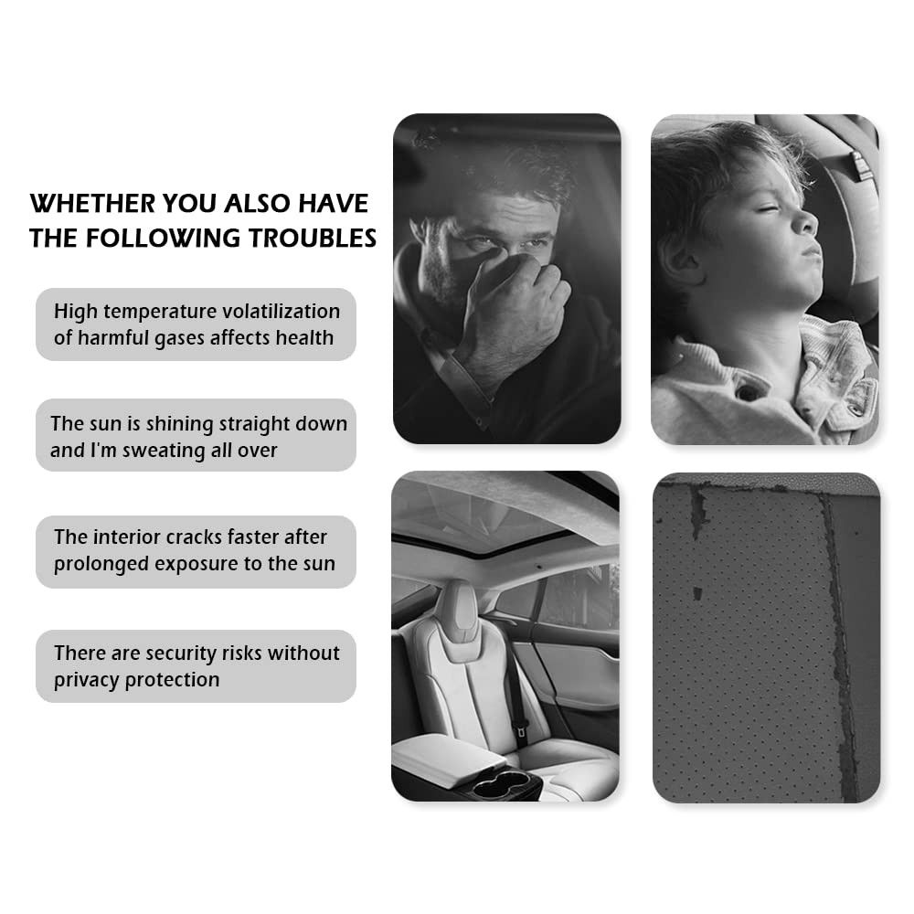 Front Windshield Shade - Portable, Folding, UV & Heat Resistant Sun Blocker - Keeps Car Cool, Universal Fit for Car, Truck, SUV (M: 55.12 x 27.56 Inch)