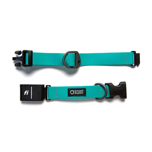 Stunt Puppy Dog Collar, Fi Series 3 and 3+ Ready, Medium, Teal - Compatible with Fi GPS Device (Not Included)