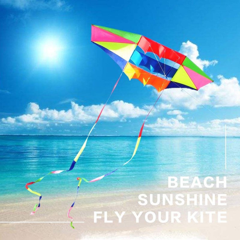Beach Kites for Adults Large with Long Tail, 98 inches Super Easy Flyer 3D Rainbow Box Kites, Come with 49 Feet Multi Colors Tails x 2, 300 ft Kite String & Handle