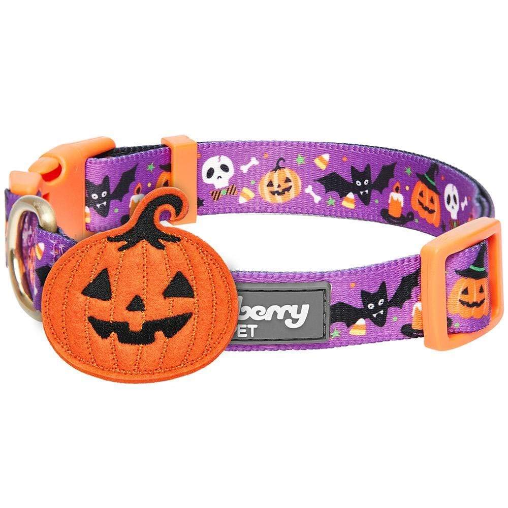 Blueberry Pet Halloween Pumpkin Party Designer Adjustable Dog Collar with Detachable Decoration, Medium, Neck 14.5"-20"