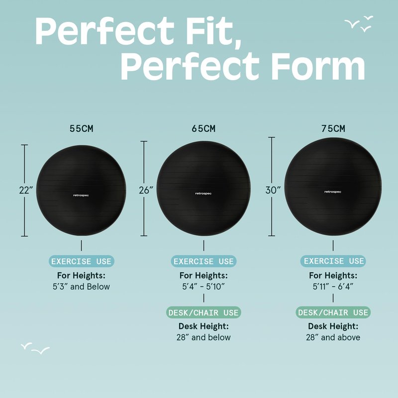 Retrospec Luna Exercise Ball - 55, 65, or 75cm Yoga Ball for Workouts, Stability, Pregnancy - Swish Balance Ball w/Pump & Base for Office & Home Gym, 65cm, Black