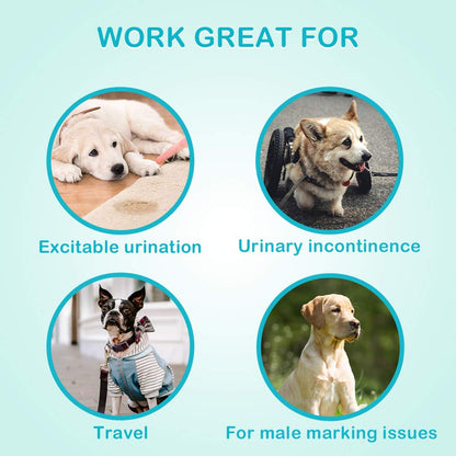 Flying Paws Male Dog Nappies, M-22 Disposable Dog Wraps for Puppy Incontinence Super Absorbent Male Wraps, Soft Cotton, Stereoscopic Edge Fit for Potty Training, Travel