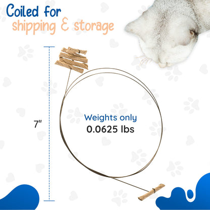 Cat Dancer Interactive Cat Toy - Fun and Fitness for Your Furry Friend - Engaging Paper Roll Attached with 30 Inches Flexible Spring Steel Wire for Playful Cats – 2 Pack
