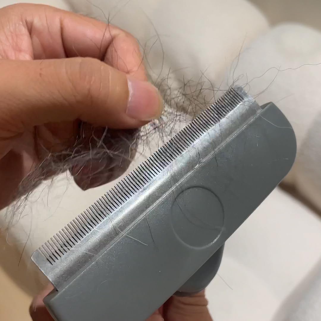 Dog Brush for Shedding Short Haired Dogs, Undercoat Deshedding Tool Set, Gently and Effectively Remove Loose Hair and Reduce Shedding, Includes a Brush and a Double-sided Silicone Glove