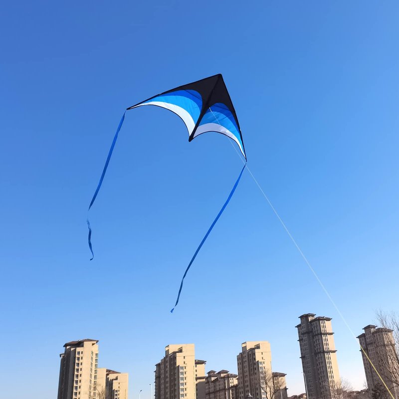 Mint's Colorful Life Delta Kite for Kids & Adults, Easy to Fly Kites with 2 Ribbons and 300ft Kite String, Best Kites for Beginner(Blue)