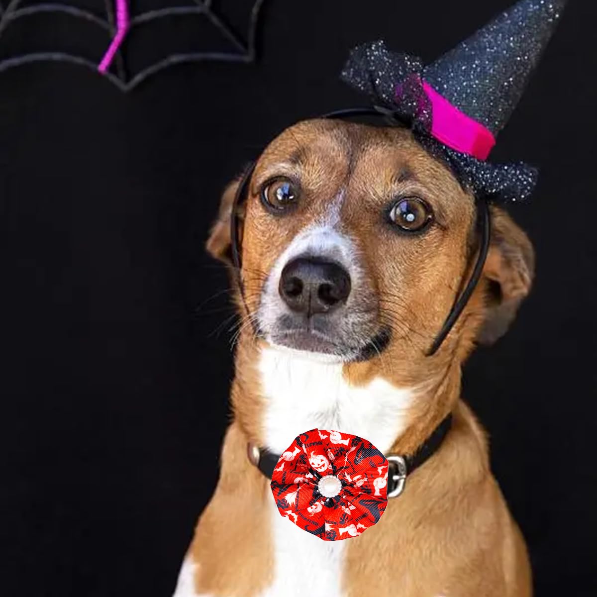 JpGdn 12pcs Halloween Dog Collar Flowers Bows Attachment Sliding for Medium Large XL Puppy Cats Rabbit Party Holiday Grooming Cosume Accessories