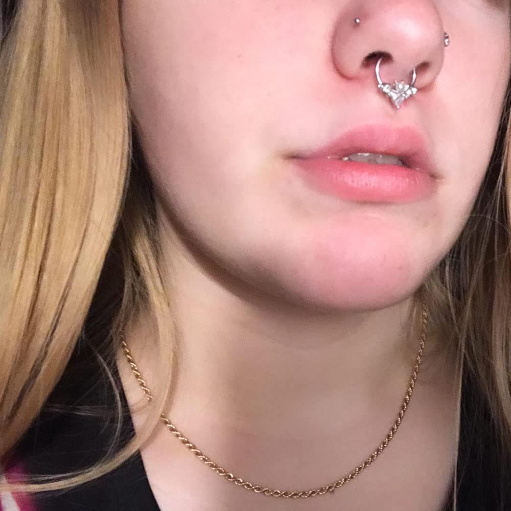 EVISPOL 2Pcs 16G Septum Nose Rings for Women Men, Stainless Steel Halloween Bat Septum Jewelry Dragon Claw Horseshoe CZ Septum Clicker Cartilage Daith Tragus Helix Ear Piercing Jewelry-Rose Gold Bat-Dragon Claw