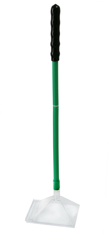 Primrose Katcha Bug - Spider Catcher
