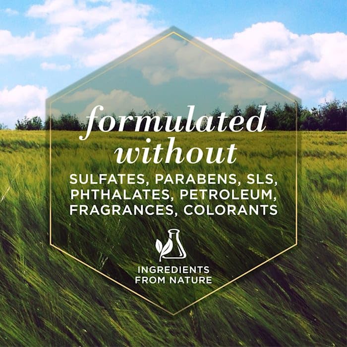 Burt's Bees for Pets Tear Free Puppy Shampoo and Conditioner - Tearless Dog Wash for Puppies, Pet Grooming Supplies, Gentle Dog Shampoo and Conditioner, Puppy Essentials for Easy Groom, 16 Fl Oz