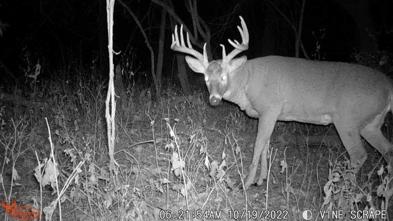 Wildgame Innovations Terra Xtreme 16MP Trail Camera - High-Resolution Night Vision