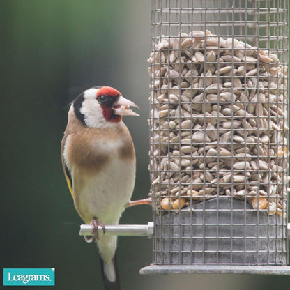 Leagrams Premium Sunflower Hearts 20kg