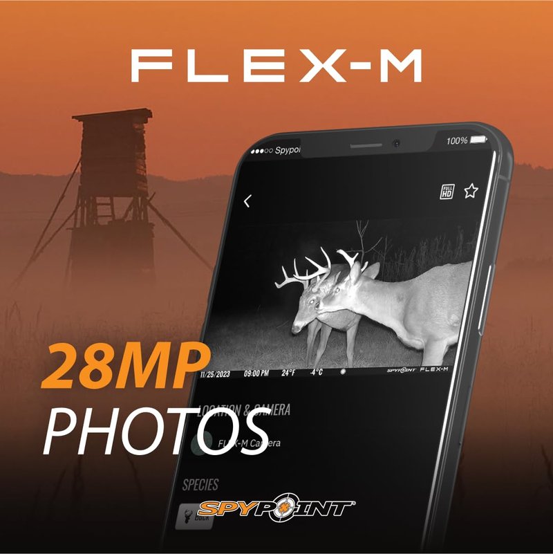 SPYPOINT Flex-M Cellular Trail Camera - Best Hunting Accessories, No WiFi Needed, Night Vision, Motion Activated, Dual-Sim LTE, IP65 Water-Resistant Game Camera, 28MP Photos, 720p Videos + Sound (4)