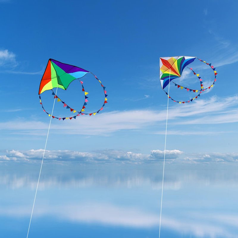 Flying Hoofer Large Rainbow Delta Kites for Kids & Adults,Single Line Beach Kite for Kids Ages 4-8 & 8-12,Easy Fly Kite for Toddlers and Beginners(2 Pack).