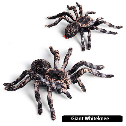 FLORMOON Realistic Animal Figures - Spider Action Model Lifelike Insect Toy Figures - Educational Learning Toys Birthday Gift Set for Boys Girls Kids Toddlers