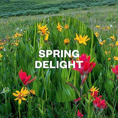 Airwick Air Freshener Room Spray SPRING DELIGHT, 250 ml (Pack of 6)