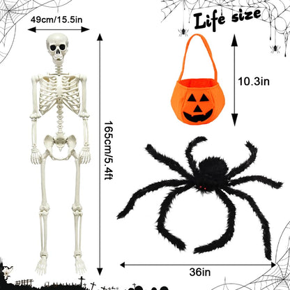 5.4ft/165cm Halloween Skeleton, Life Size Skeleton with Spider Pumpkin Bag, Full Body Human Bones with Movable Joints for Halloween Indoor Outdoor Haunted House Decorations