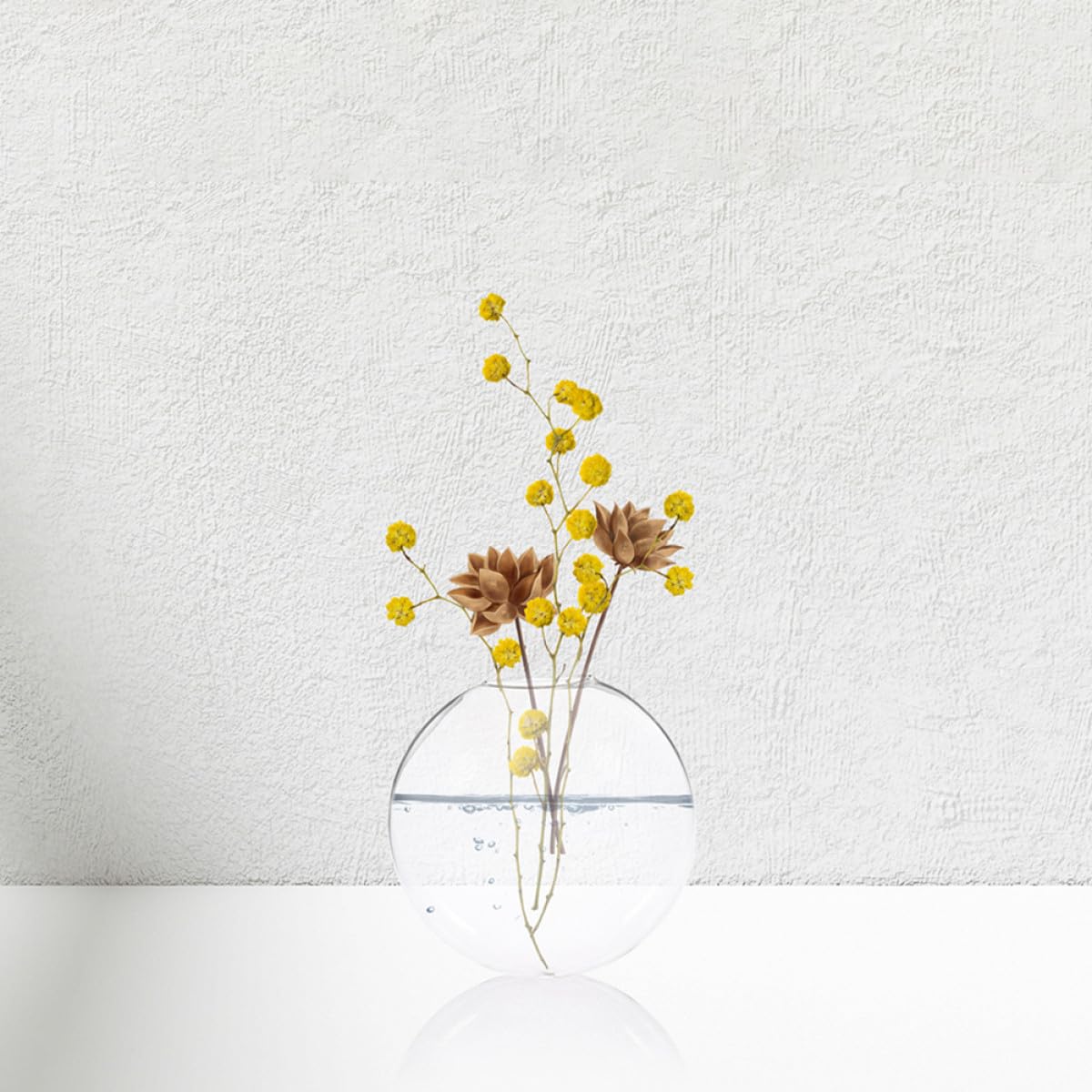 SEWACC 2pcs Glass Wall Hanging Flower Vase for Plants, Hydroponic Decorative Container, Indoor Wall-Mounted Terrarium Vase for Home and Office Décor
