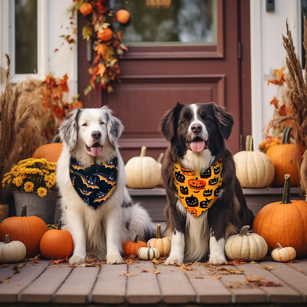 Raisingwell Halloween Dog Bandanas - 2 Pack Bat & Pumpkin Pattern Dog Bibs - Reversible, Washable & Durable - Suitable for Small to X-Large Breeds - Unisex