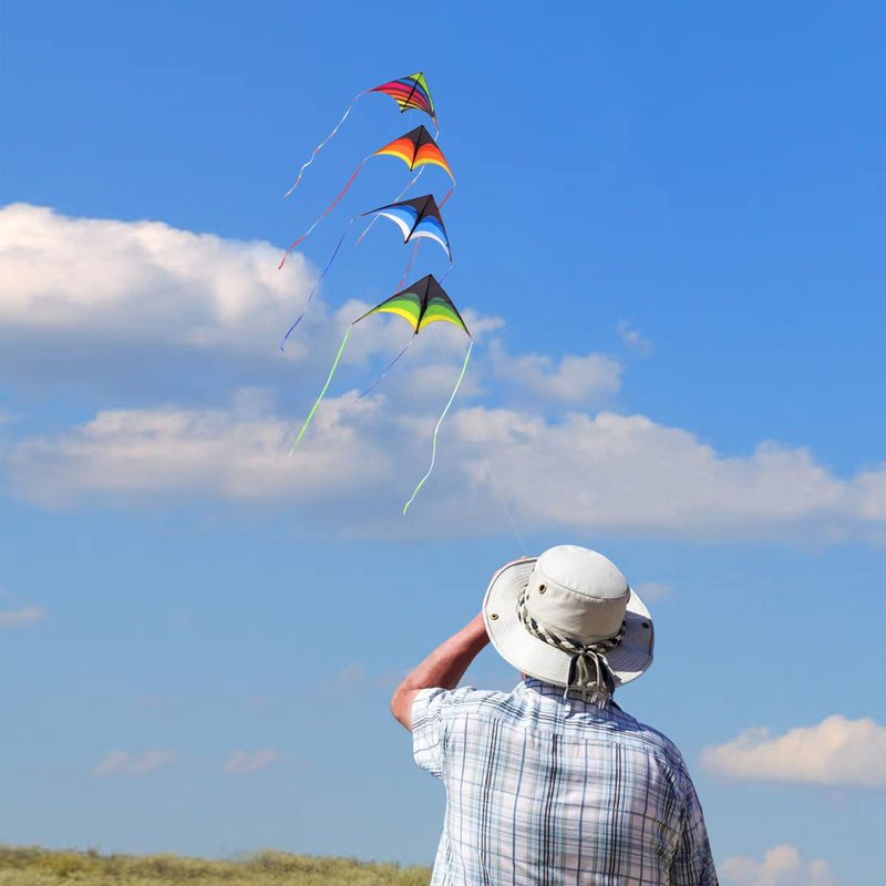 Delta Kites for Adults, Easy to Fly Kite, Best Kites (4 Pack Could be Stacked)