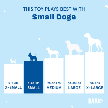Barkbox 2 in 1 Interactive Plush Dog Toy - Rip and Reveal Toy for Dogs and Puppies - Stimulating Squeaky Pet Toys | Consuela Cactus Small