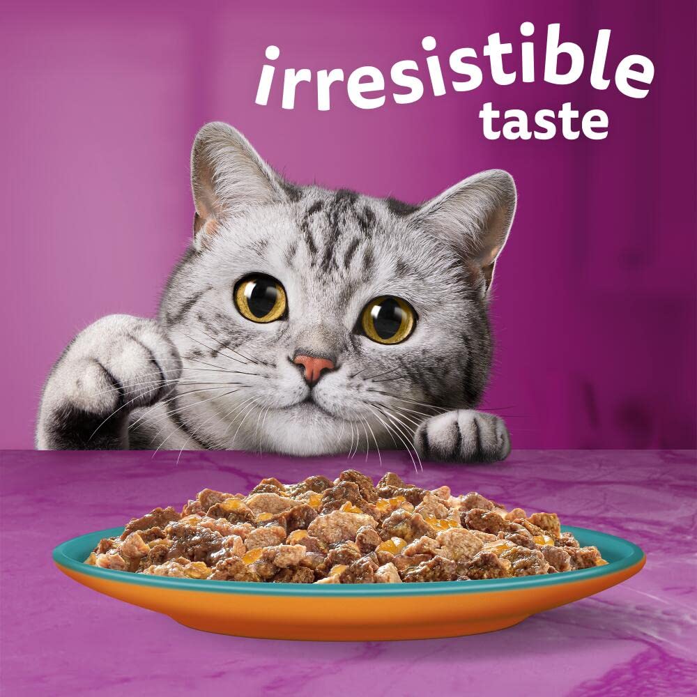 WHISKAS - 1+- Adult Wet Cat Food Pouches - 40 x 85 g - Surf and Turf in Jelly - Bulk Cat Food Megapack - 40 Pouches