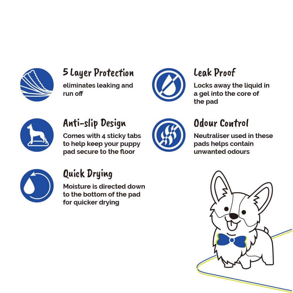 AllPetSolutions Puppy Pads - Disposable Puppy Training Pads Dog Toilet Sheets with 5 Highly Absorbent Layers & Odour Control Leak-Proof Non Slip Matting for Pet Wee - Extra Large, 60x90cm - 100-Pack