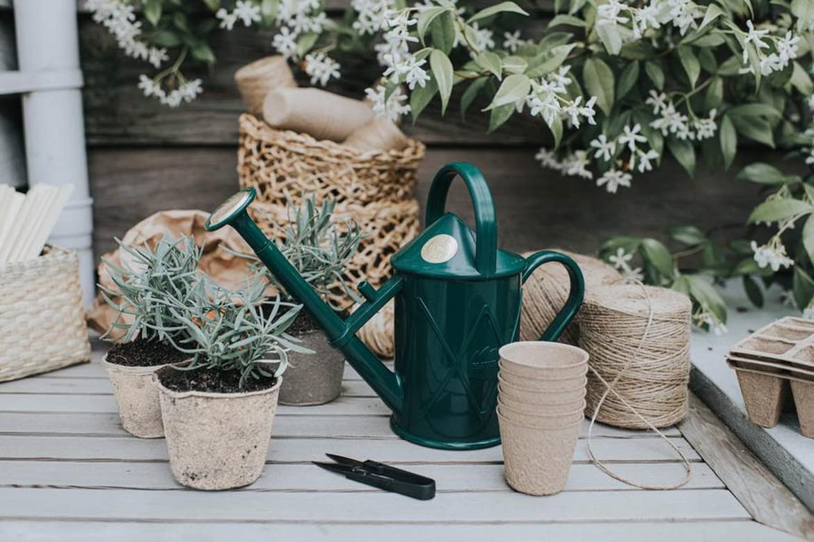 Indoor Plastic Watering Can | The HAWS The Bartley Burbler - Two Pint | Pot Waterer | Fine Spray Rose - Green