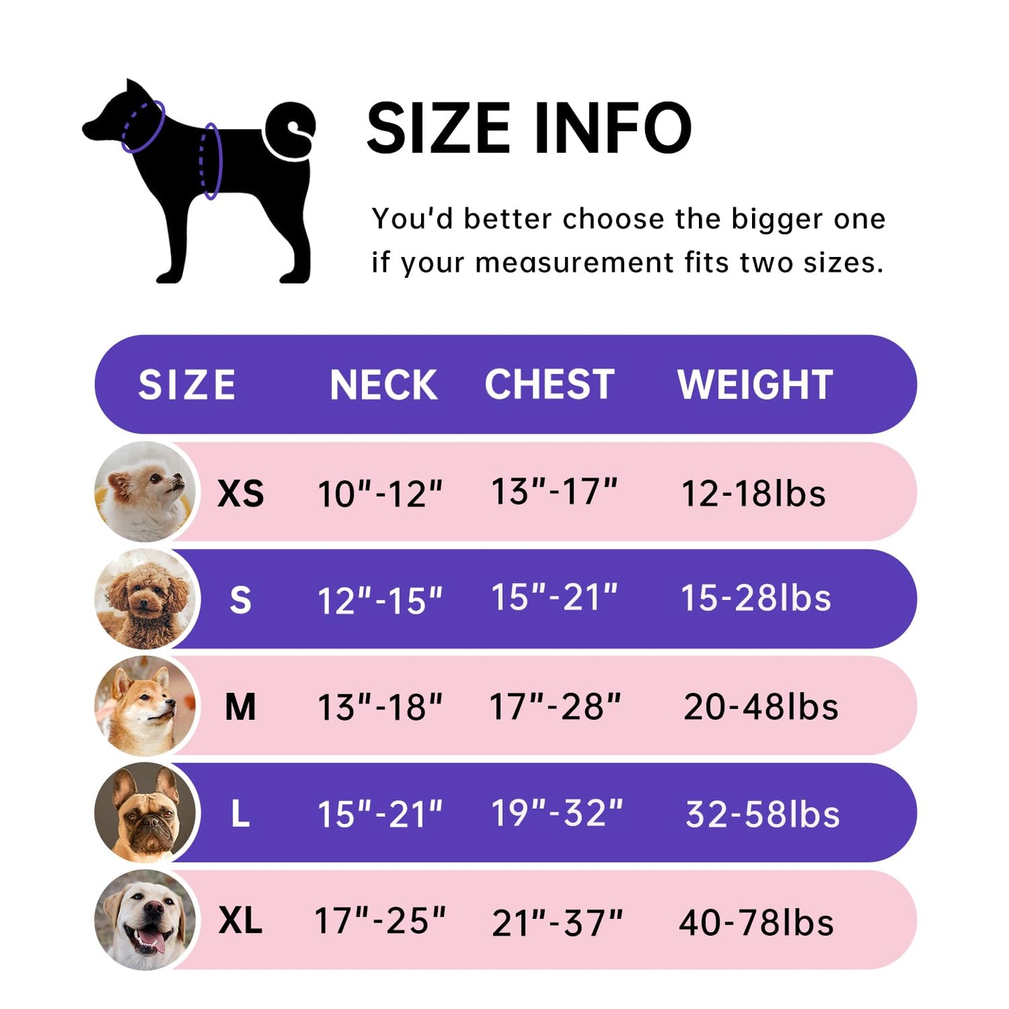 IVY&LANE No Pull Dog Harness for Medium Dogs, Dog Vest Harness with Leash, Safety Belt and Storage Strap, Fully Adjustable Harness, 360° Reflective Strip, Soft Handle (Purple, M)