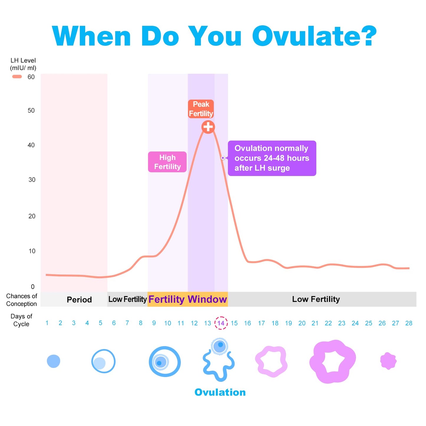 Easy@Home 50 Ovulation Test Strips and 20 Pregnancy Test Strips-Width of 5mm-Powered by Premom Ovulation Predictor iOS and Android App