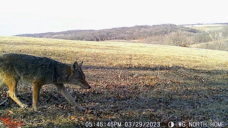 Wildgame Innovations Terra Xtreme 16MP Trail Camera - High-Resolution Night Vision