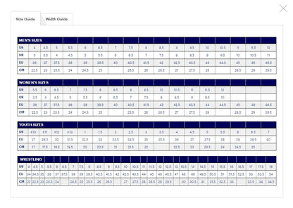 ASICS Women's Gel-RENMA Indoor Shoe, 8.5, White/Pure Silver