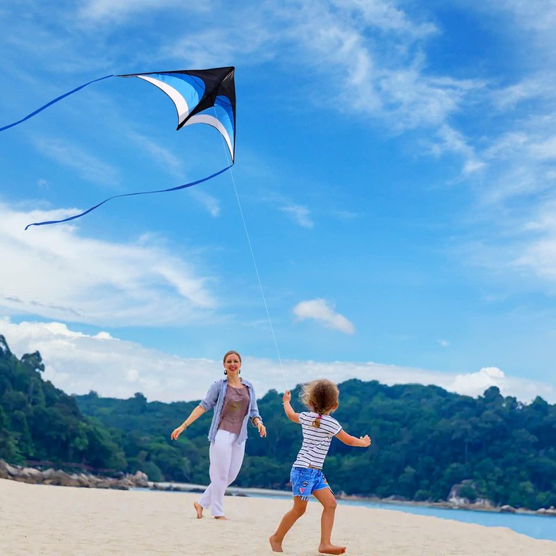 Mint's Colorful Life Delta Kite for Kids & Adults, Easy to Fly Kites with 2 Ribbons and 300ft Kite String, Best Kites for Beginner(Blue)