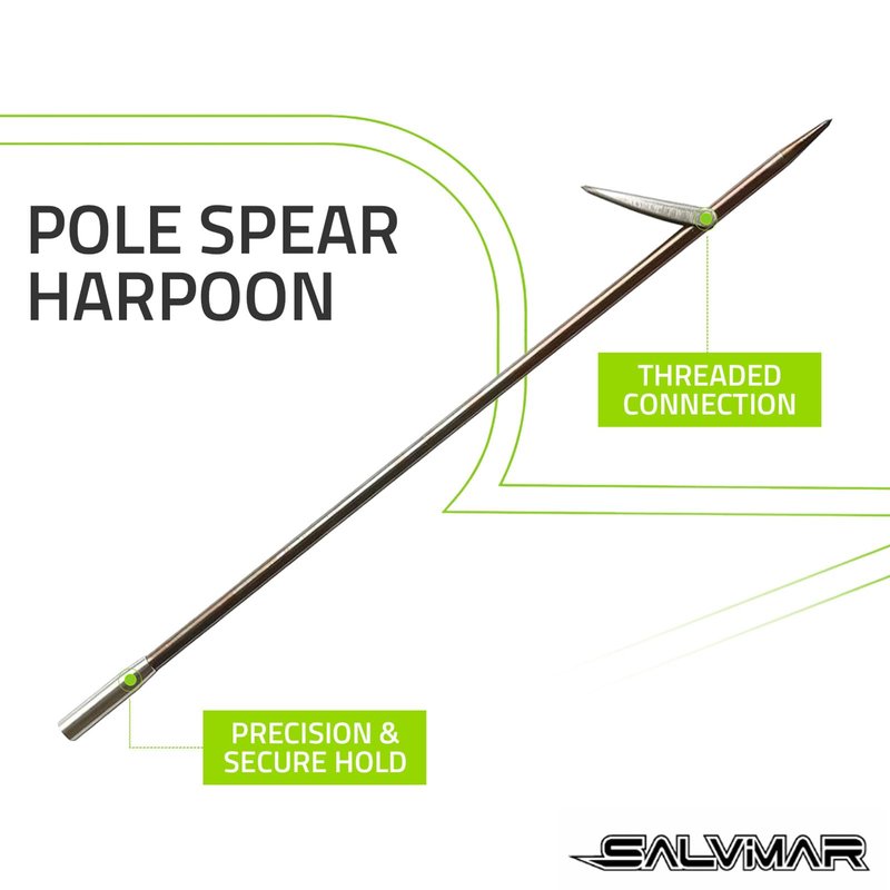 SALVIMAR Pole Spear Harpoon | Durable Stainless Steel Threaded Sharp Replacement Tip for Pole Spears | Precision Spearfishing Equipment, Pole Spear 14mm - M6 Female