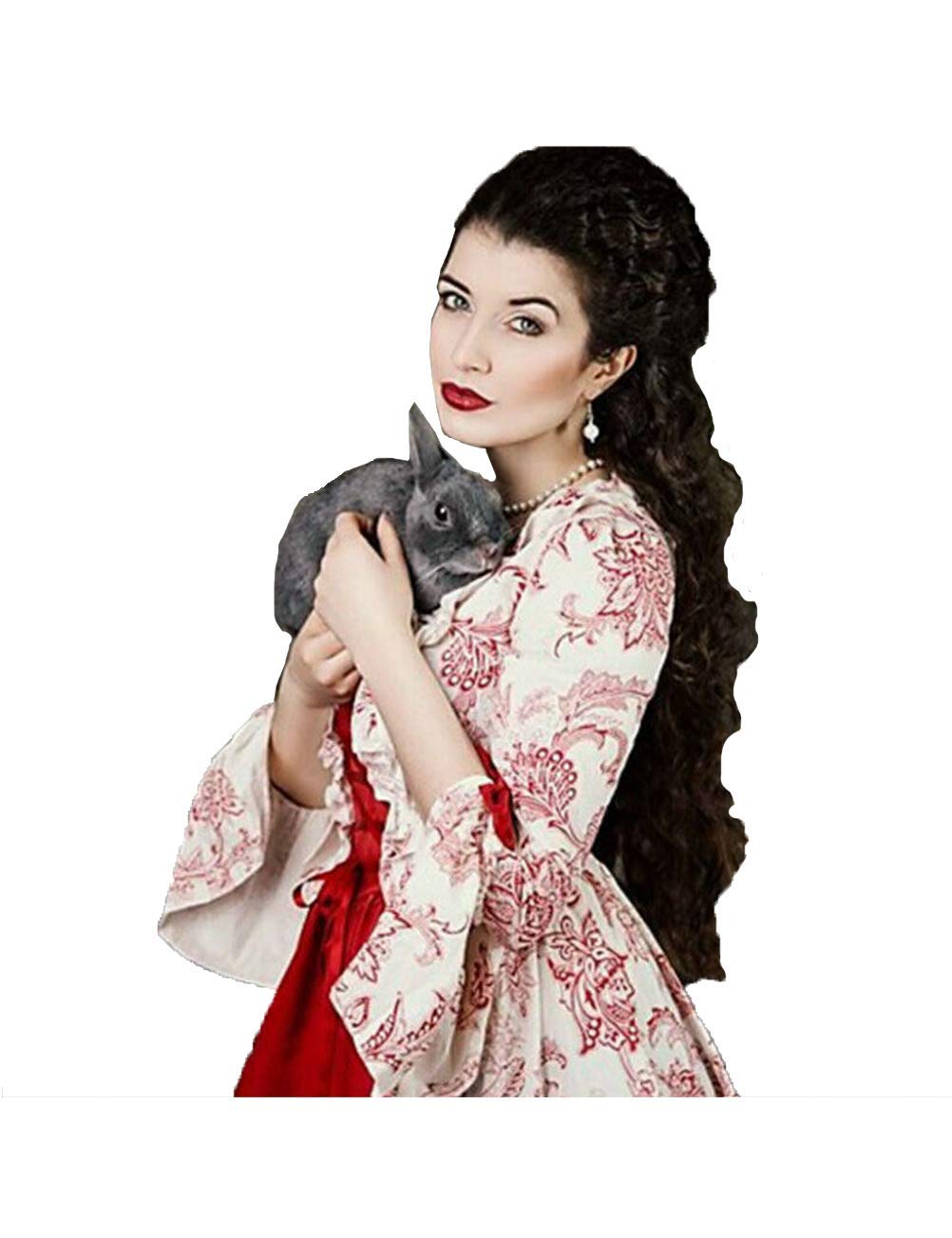 1791's lady Women's Victorian Rococo Dress Temperament Palace Evening Dress Inspiration Maiden Horn Sleeve Costume NQ0032W (Female S) Red