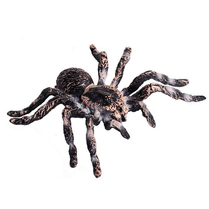 FLORMOON Realistic Animal Figures - Spider Action Model Lifelike Insect Toy Figures - Educational Learning Toys Birthday Gift Set for Boys Girls Kids Toddlers