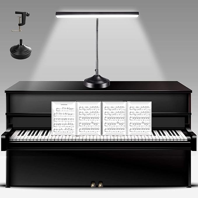 Piano Desk Lamp, 2-in-1 LED Piano Light with Base & Clamp for Upright Digital Grand Piano, 10W Flexible Gooseneck Table Lamp with 3 Color Modes×10 Brightness for Home Office Bedroom, Black